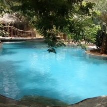1. Pool Area