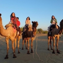 1. Camel Safari