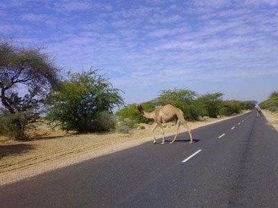 Jaisalmer highway