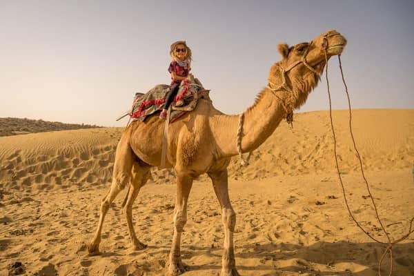 camel safari sam jaisalmer